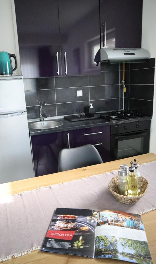 Apartment Sandra Toplice Sveti Martin Sveti Martin Na Muri Extérieur photo