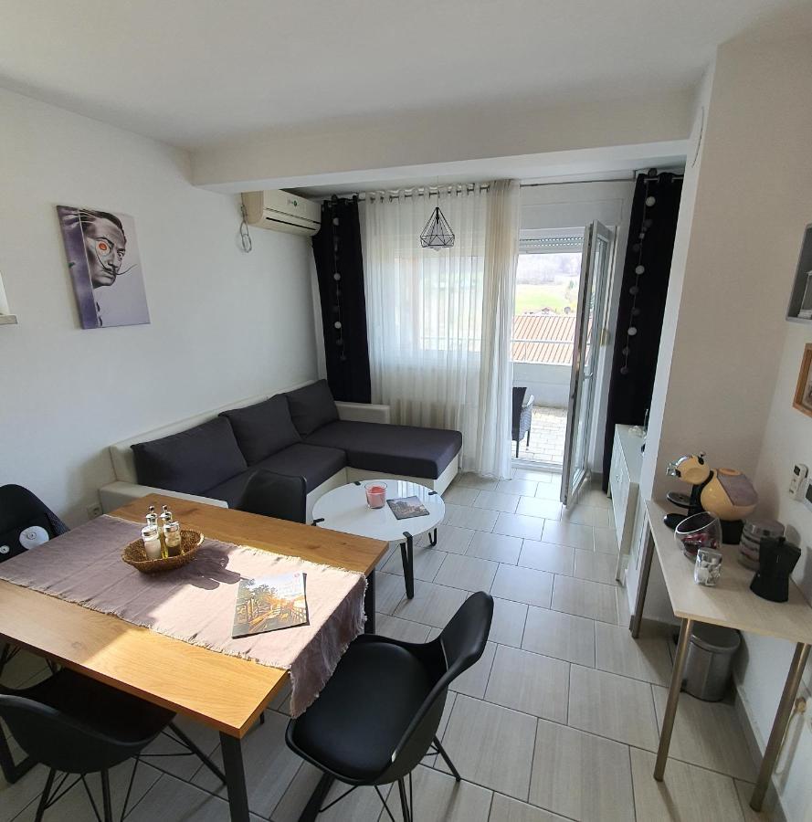 Apartment Sandra Toplice Sveti Martin Sveti Martin Na Muri Extérieur photo