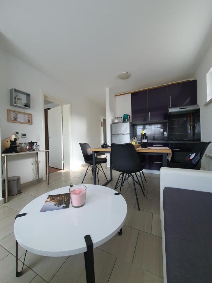 Apartment Sandra Toplice Sveti Martin Sveti Martin Na Muri Extérieur photo